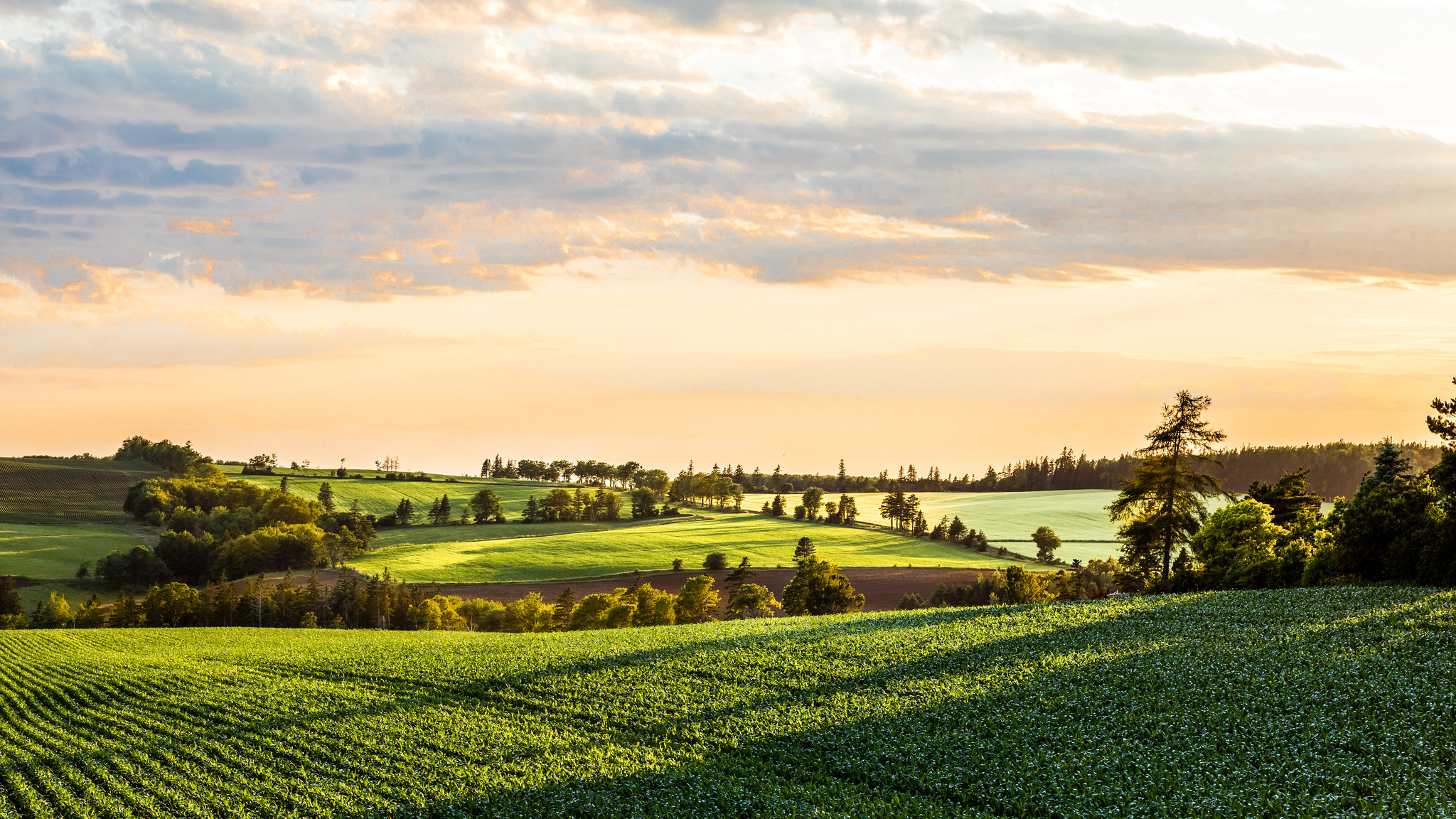 Innovation PEI photo