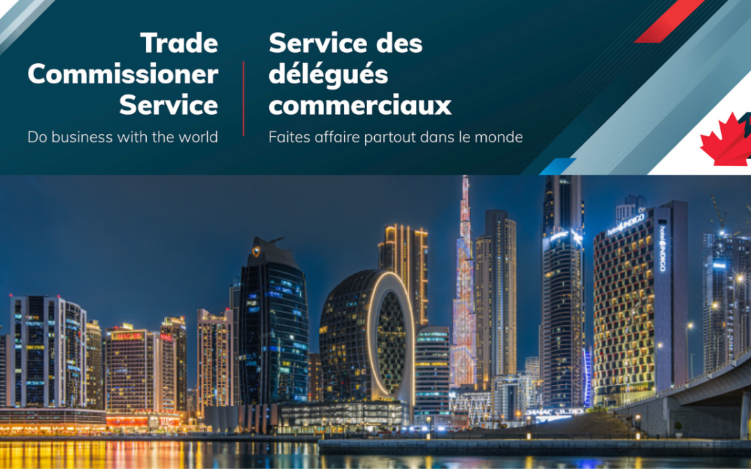 Guide to E-Commerce in the UAE – Webinar 2026